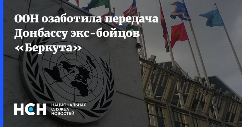 ООН озаботила передача Донбассу экс-бойцов «Беркута»