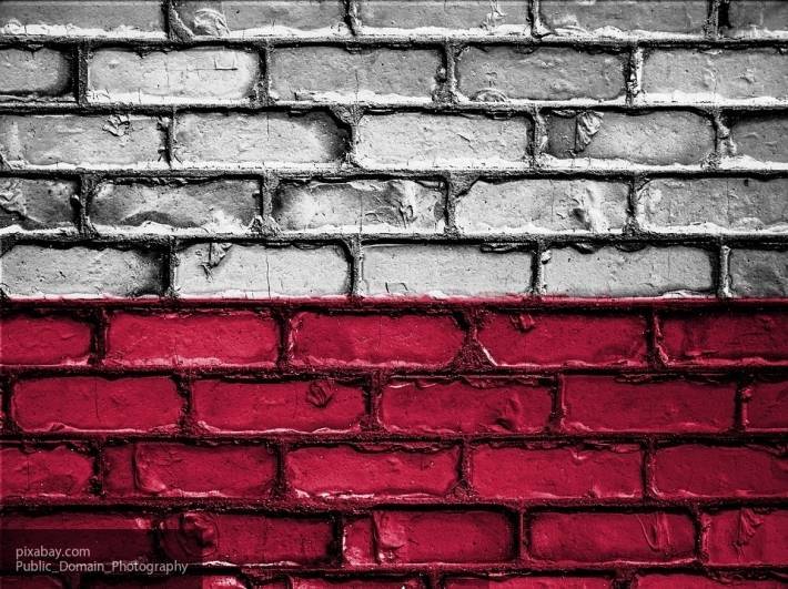 Для Варшавы станет катастрофой поднятый вопрос о Холокосте, заявил Гаспарян