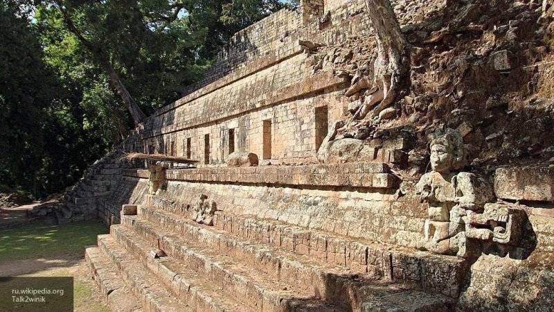 Руины шестикомнатного дворца майя нашли археологи в джунглях Мексики