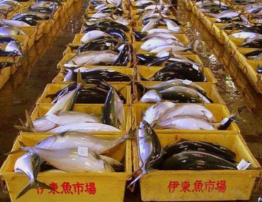 Ввоз в Россию китайских морепродуктов и рыбы прекратится с 9 января