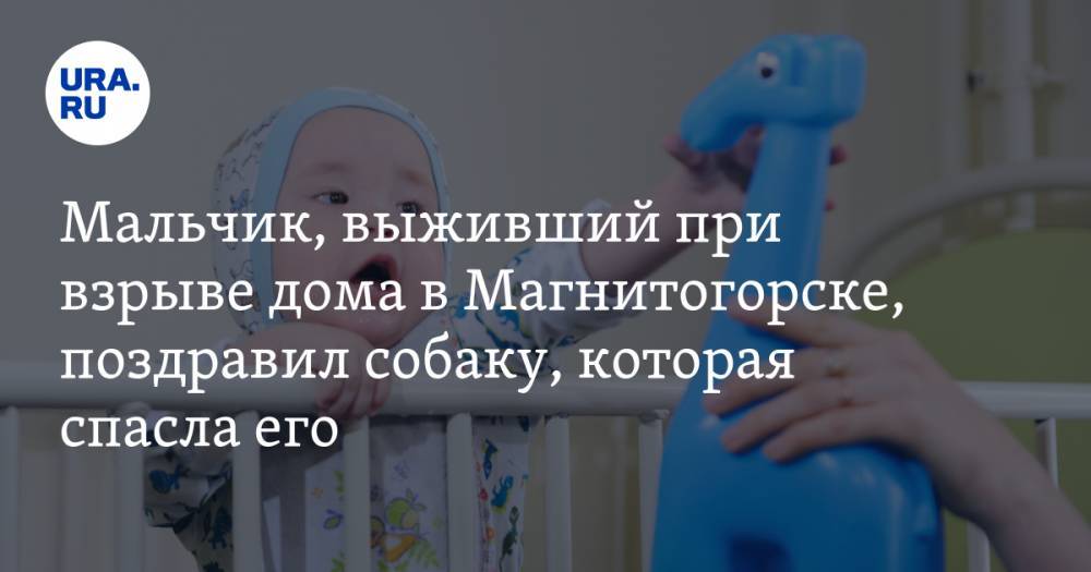 Мальчик, выживший при взрыве дома в Магнитогорске, поздравил собаку, которая спасла его. ВИДЕО