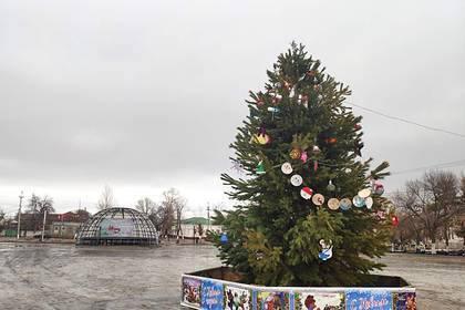 Жители российского города возмутились новогодней елкой с пластиковыми бутылками