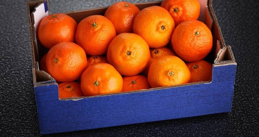 Эксперт назвала фрукты для новогоднего стола, которые можно купить заранее