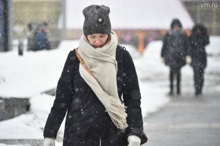 Туманная погода и метель ожидаются в Москве 4 декабря