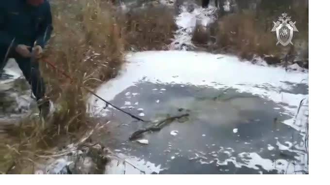 В Саратовской области пропавшего 6-летнего мальчика нашли в пруду