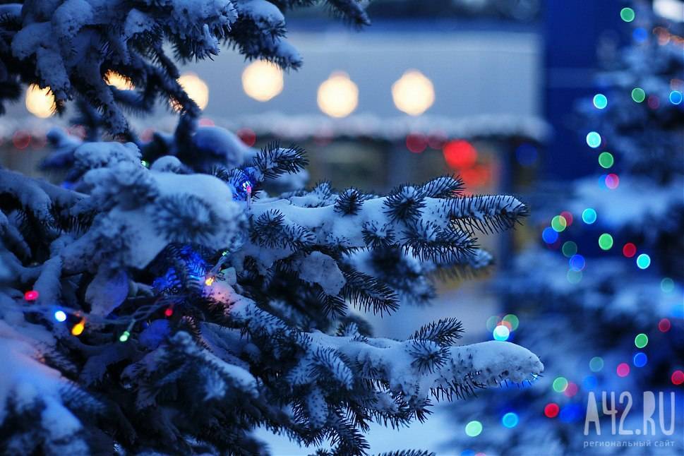 Старую новогоднюю ель с кемеровской площади Советов установили в пгт Промышленная