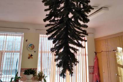 В российском детском саду елку прикрепили к потолку