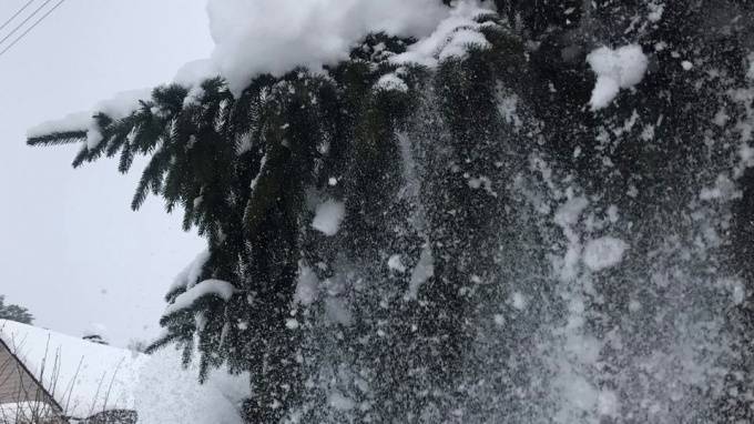 В Ленобласти 4 декабря ожидается снегопад