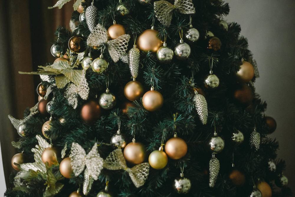 В Роскачестве дали рекомендации по выбору новогодней елки