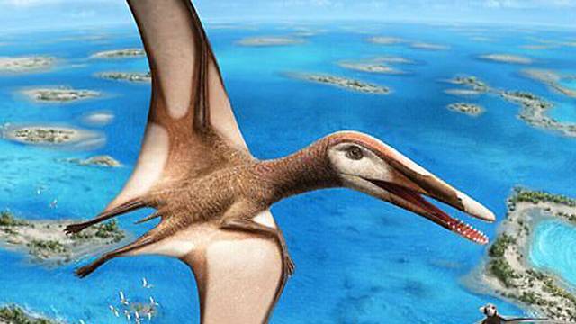 Динозавры над Израилем: вот кто летал в небе 95 миллионов лет назад