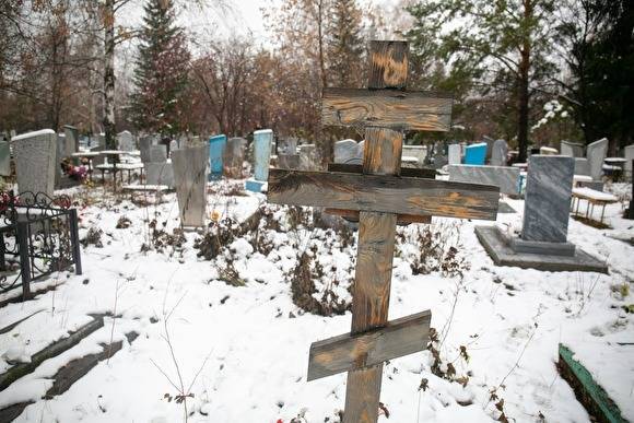 В Кургане в микрорайоне Зайково построят крематорий и сделают кладбище домашних животных