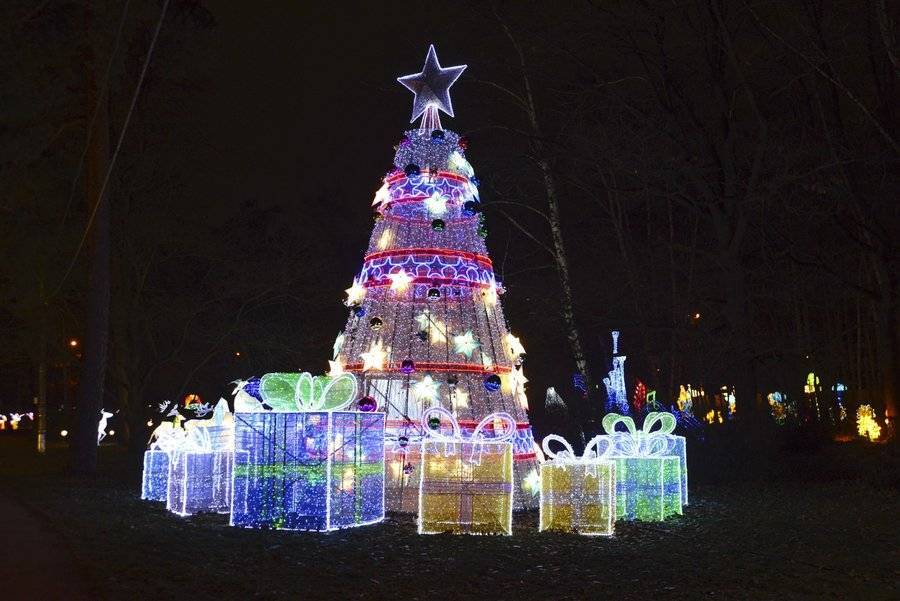 Милонов предложил украшать города к Новому году только искусственными елками