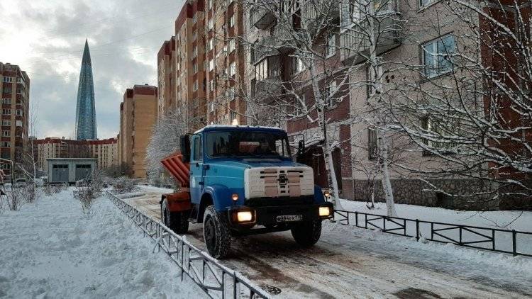 Коммунальщики Петербурга уже использовали 11 тонн средств для уборки центра