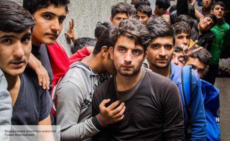 Венгерский эксперт рассказал, как мигранты превратили жизнь Европы в кошмар
