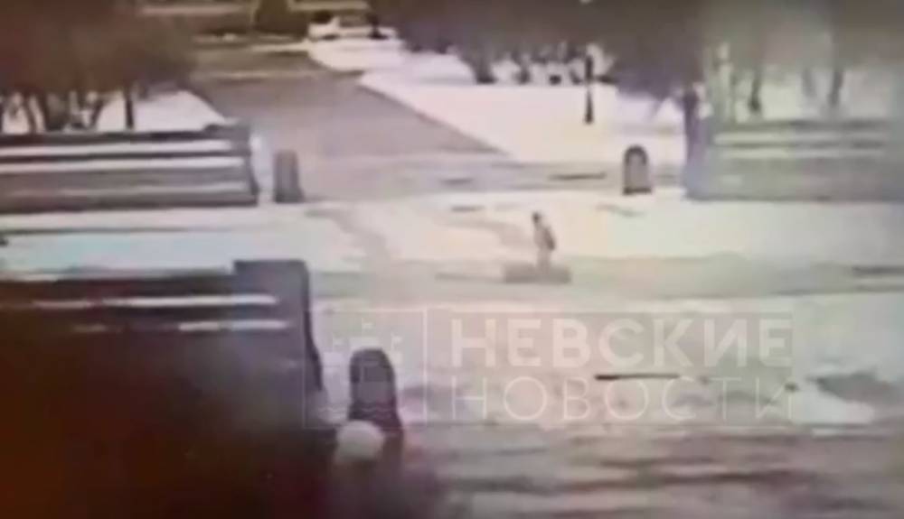 НЕВСКИЕ НОВОСТИ публикуют видео «тушения» подростком вечного огня в Петербурге