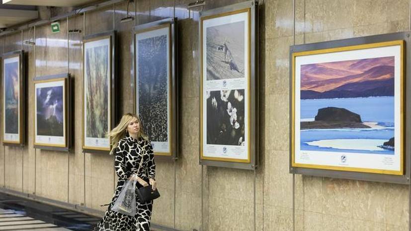 В московском метро открылась фотовыставка о дикой природе России
