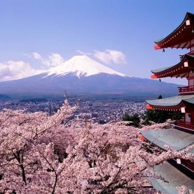 Каждый четвертый российский путешественник мечтает побывать в Японии