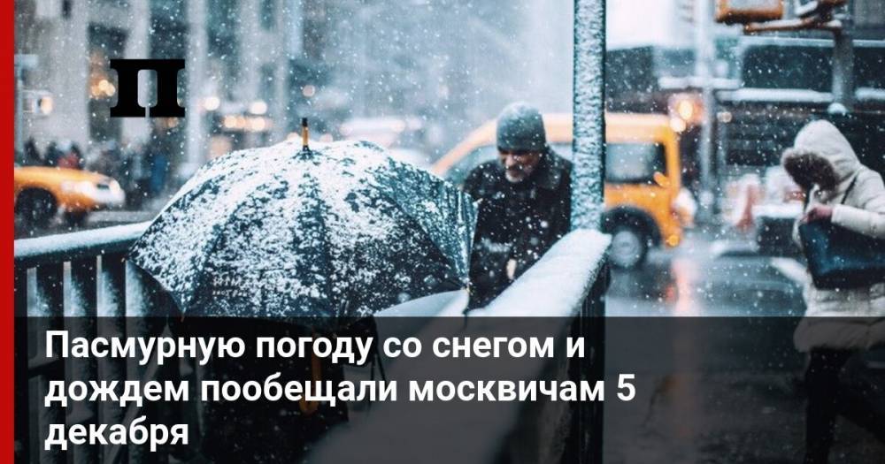 Пасмурную погоду со снегом и дождем пообещали москвичам 5 декабря