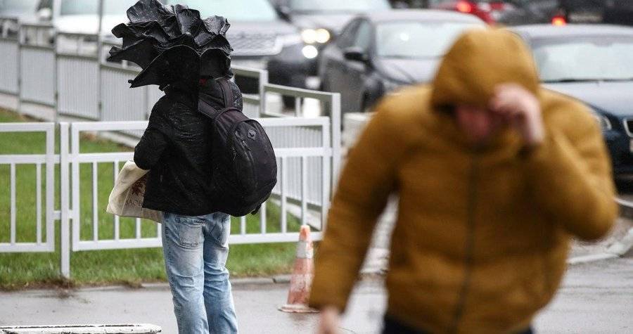 Москвичей предупредили об опасной погоде из-за ветра