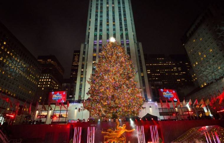 В центре Нью-Йорка зажгли огни на 14-тонной рождественской ели