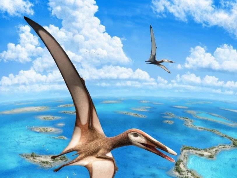 В Ливане был обнаружен неизвестный вид птерозавров