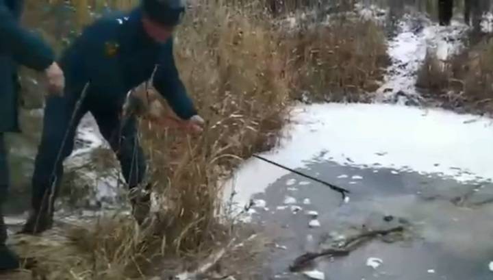 Тело пропавшего под Смоленском мальчика нашли в пруду подо льдом