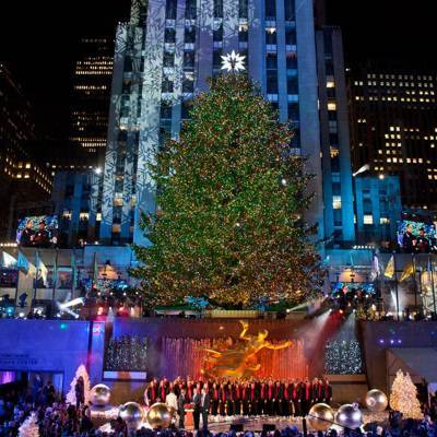 В Нью-Йорке зажгли огни на главной рождественской ели