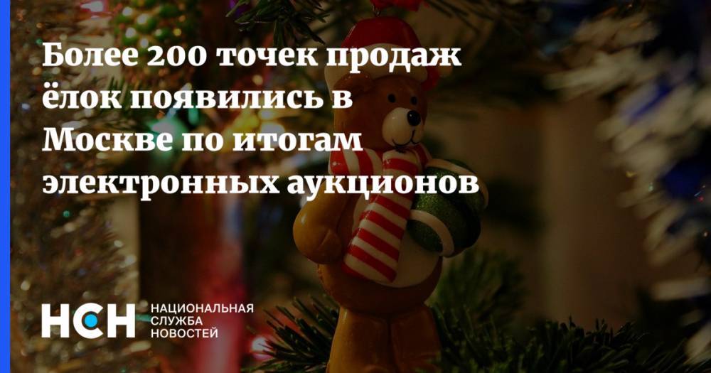 Более 200 точек продаж ёлок появились в Москве по итогам электронных аукционов