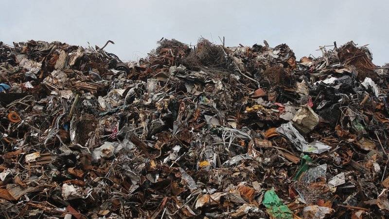 Правительство не может принимать решение по каждому мусорному баку, заявил Медведев