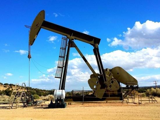 Саммит ОПЕК определит цену нефти: эксперты дали тревожный прогноз