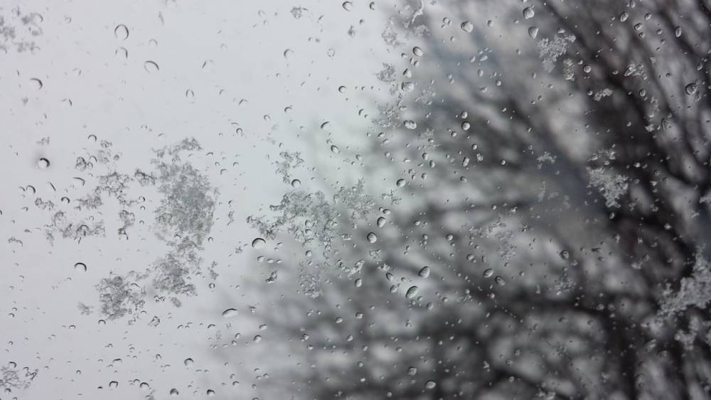 Жителей Ленобласти 6 декабря ожидает дождь с мокрым снегом и плюсовая температура