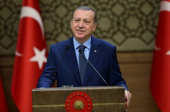 Эксперт объяснил, почему Эрдоган высоко оценил четырёхсторонний саммит по Сирии