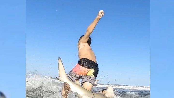 Акула сбросила юного серфера с доски в США