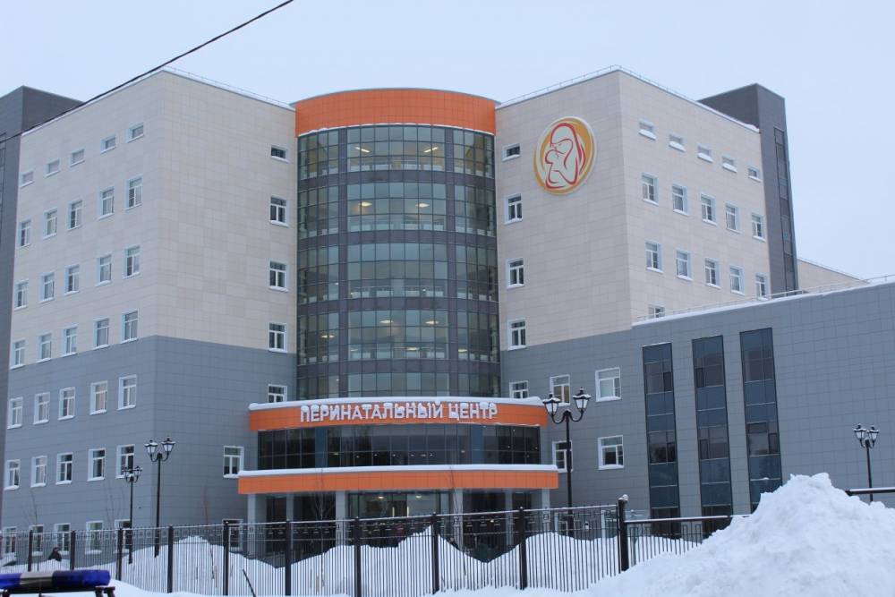 В октябре в перинатальном центре Петрозаводска родились 13 двоен