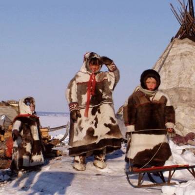 Правительство РФ намерено возобновить международный проект "Дети Арктики"