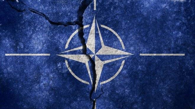 Разногласия между НАТО и Анкарой назвали «мышиной возней» в Москве