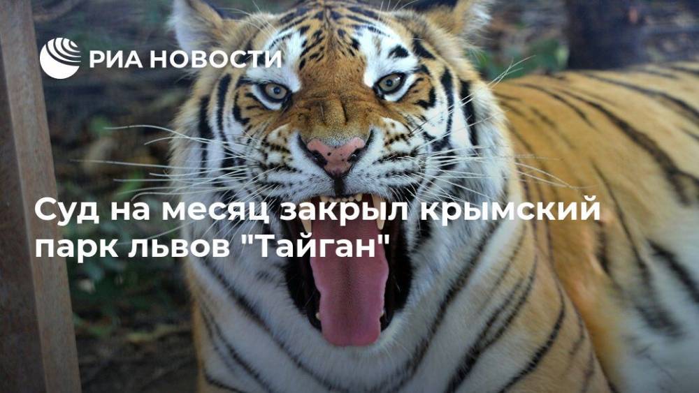 Суд на месяц закрыл крымский парк львов "Тайган"