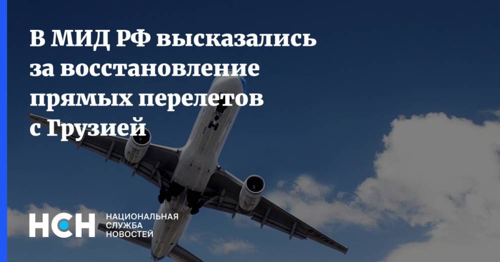 В МИД РФ высказались за восстановление прямых перелетов с Грузией
