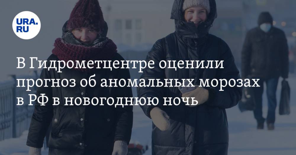 В Гидрометцентре оценили прогноз об аномальных морозах в РФ в новогоднюю ночь