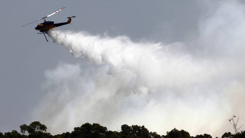 Более 100 лесных пожаров зафиксировано в одном из штатов Австралии