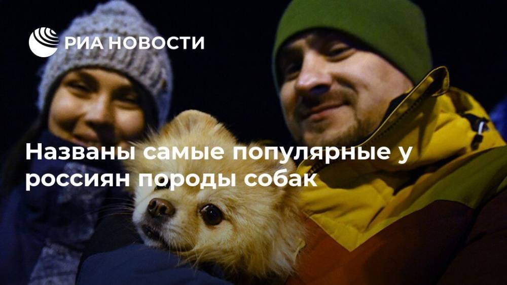 Названы самые популярные у россиян породы собак