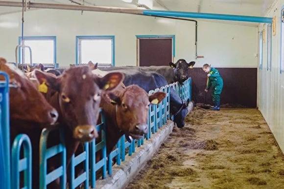 Россельхознадзор подал в суд на предприятие по производству молока в Ямальском районе