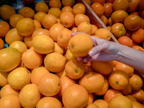 В Израиле начался сезон апельсинов шамути: как их правильно есть