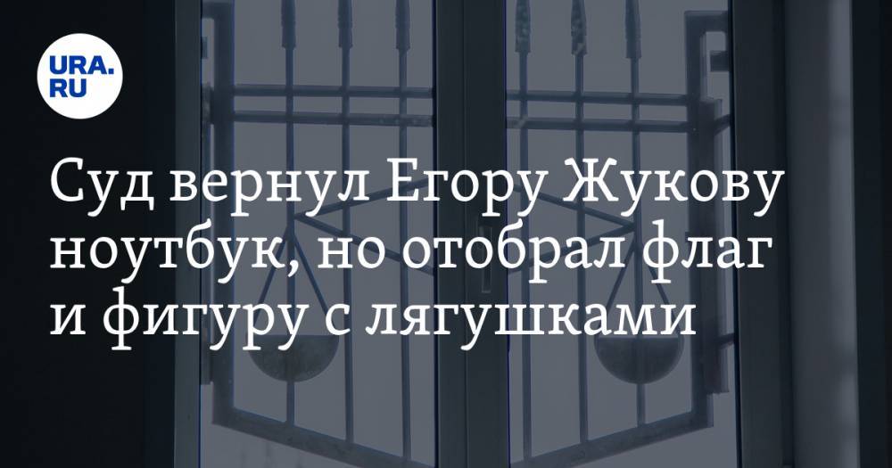 Суд вернул Егору Жукову ноутбук, но отобрал флаг и фигуру с лягушками. Его ждут и другие ограничения