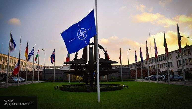 Гаспарян связал желание Германии пригласить РФ вступить в НАТО с кризисом Альянса