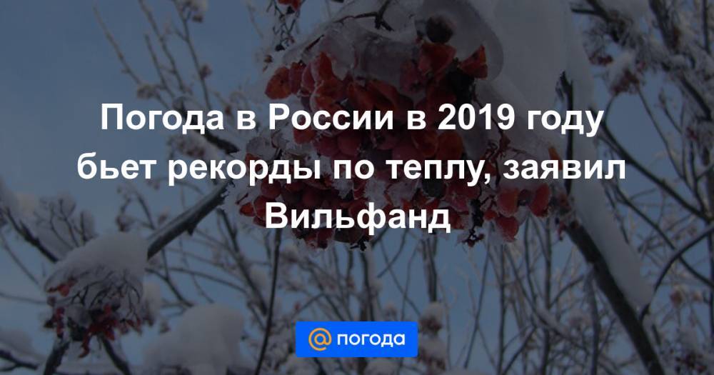 Погода в России в 2019 году бьет рекорды по теплу, заявил Вильфанд
