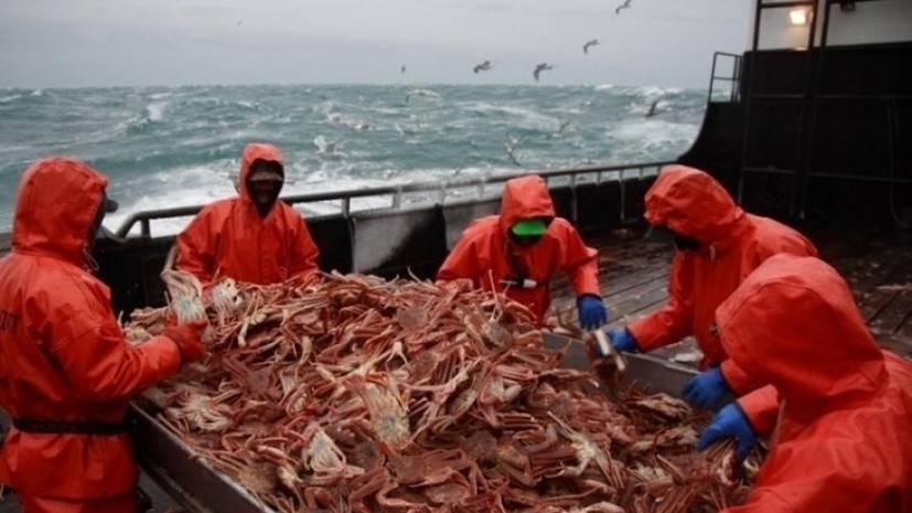 В Приморье выпустили в море более 11 тысяч нелегально добытых крабов