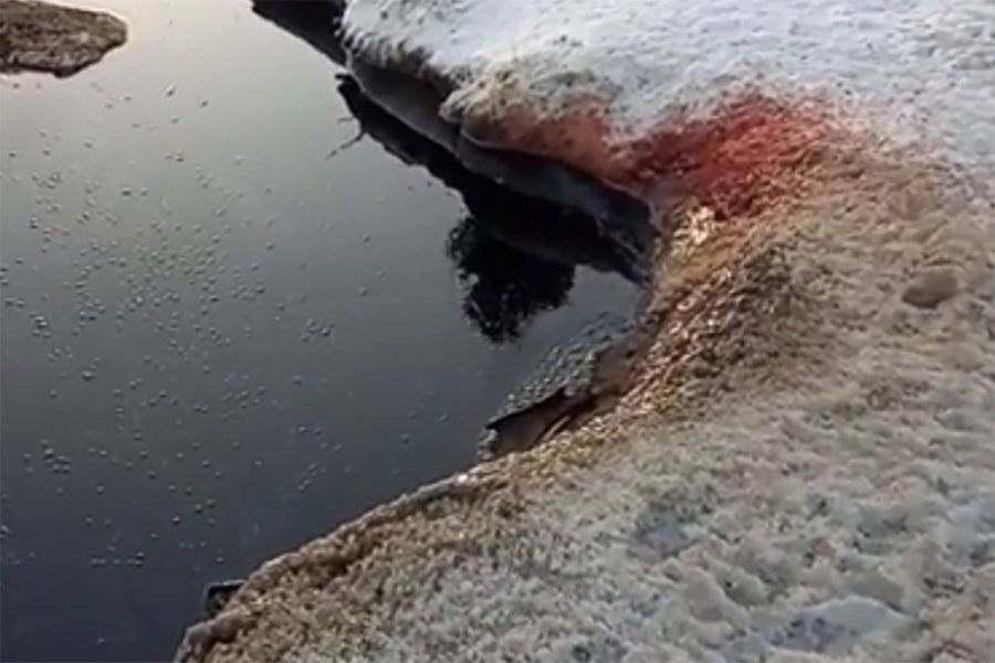 В Омской области нашли "кровавое" озеро