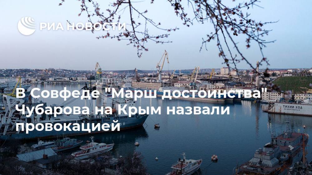 В Совфеде "Марш достоинства" Чубарова на Крым назвали провокацией
