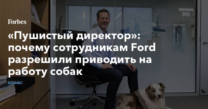 «Пушистый директор»: почему сотрудникам Ford разрешили приводить на работу собак